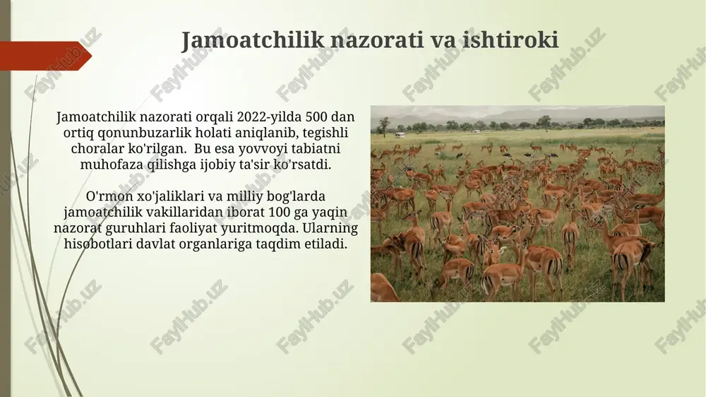 qizil kitob va buyruqlar - Page 5