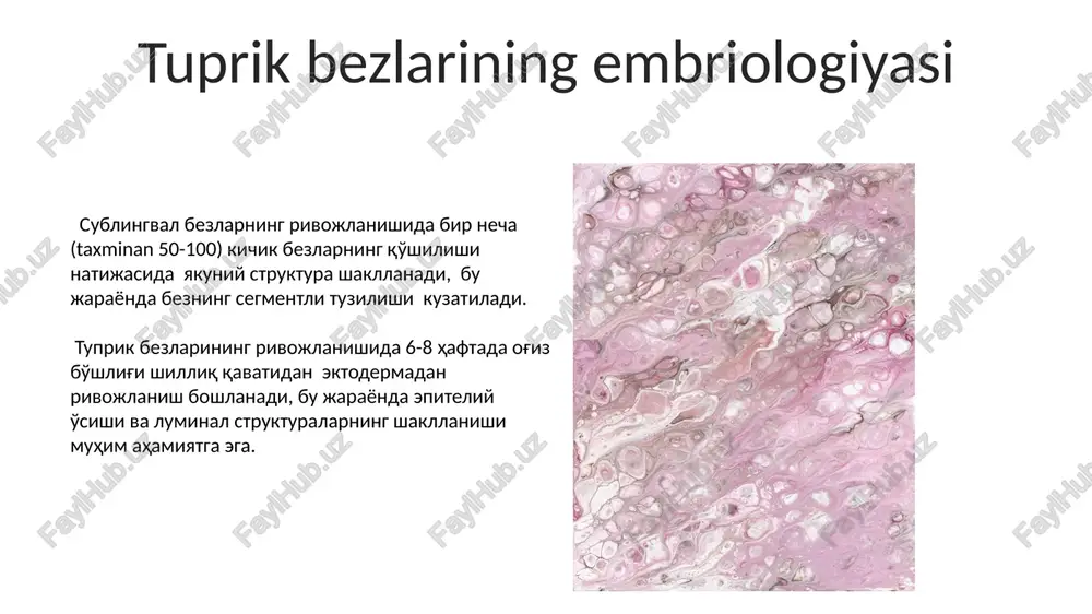tuprik bezlarining fiziologiyasi - Page 5