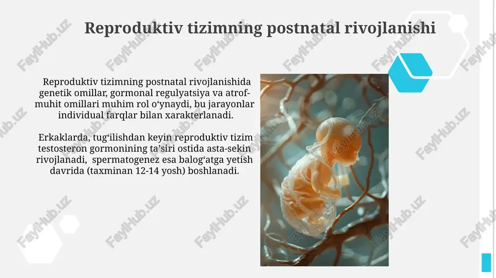 hazim aʼzolarining postnatal taraqqiyoti - Page 5