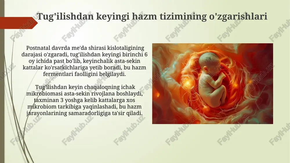 hazm a'zolarining prenatal va postnatal rivojlanishi - Page 5