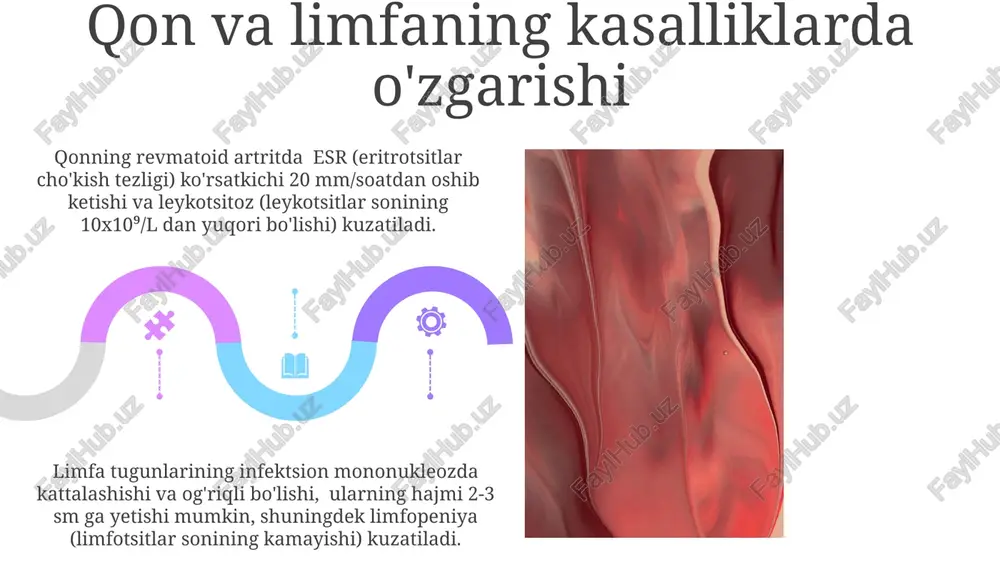 qon va limfa: ichki muhitning asosiy komponentlari - Page 5