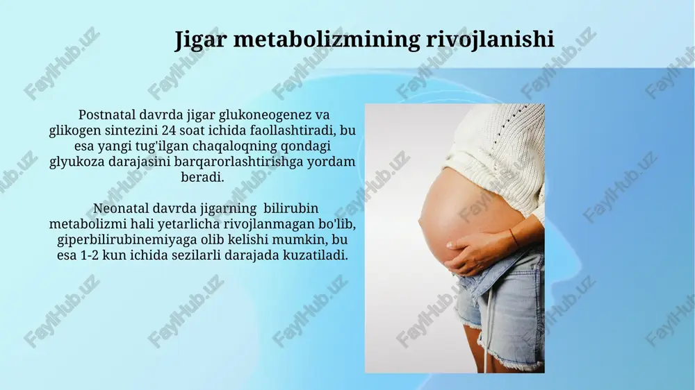 jigarning prenatal va postnatal rivojlanishi - Page 5
