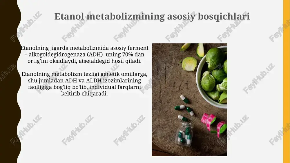 etanol metabolizmi - Page 5