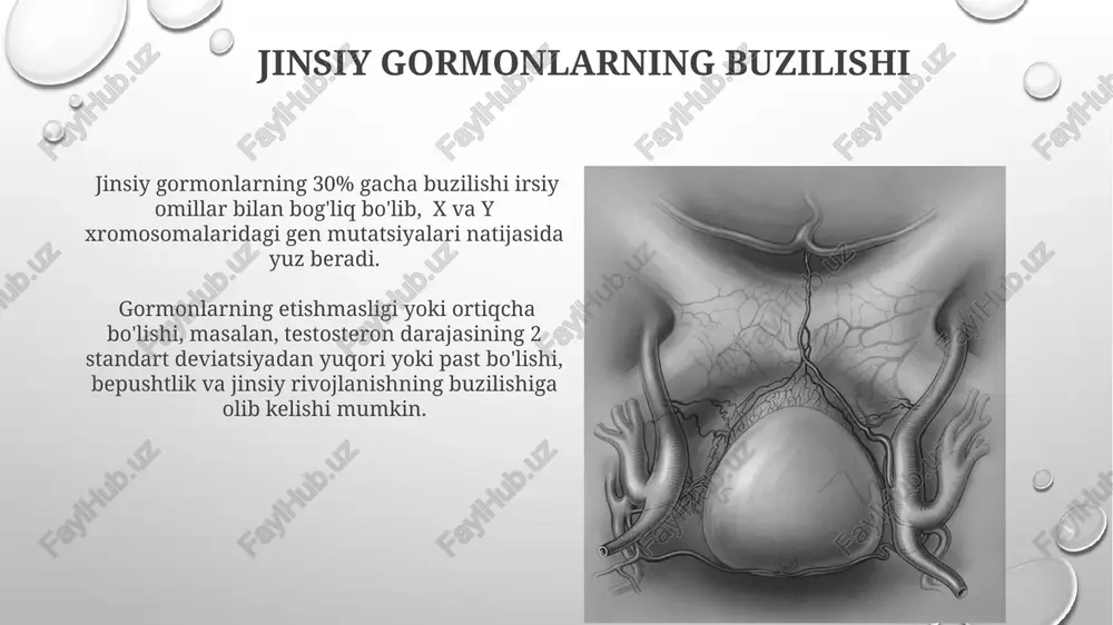 jinsiy bezlar ichki sekretsiyasi - Page 5