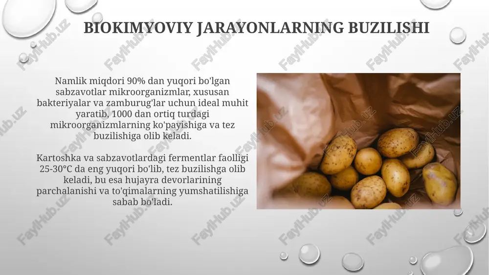 kartoshka va sabzavotlarning buzilishi sabablari - Page 5