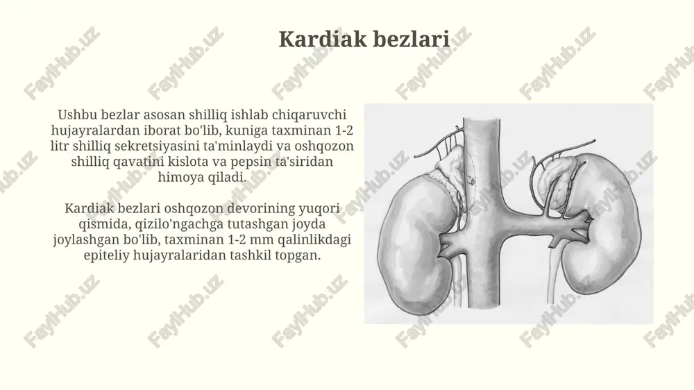 oshqozon bezlari kasalliklari - Page 5