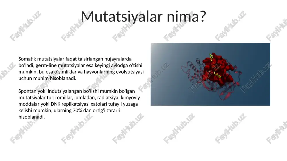 mutatsiya zararlimi? - Page 5