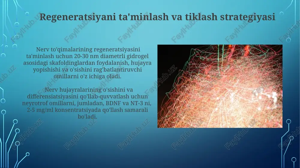 nerv to'qimasining degeneratsiyasi va regeneratsiyasi mexanizmlari - Page 5