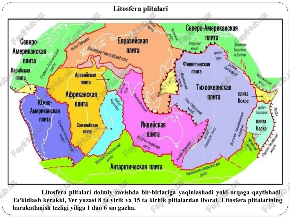 g kamayishiga sabab boʻlmoqda. mutaxassislarning fikricha, xxi asrda yerlarning unumdorligini 3,5-4 % ga oshirilmasa, sayyoramizda yiliga 200 mln tonna don yetishmovchiligi holati yuz berishi mumkin. litosferaning tuzilishi asosiy tog’ hosil bo’lish jarayoni geosinklinallar - bu yer qobig'ining eng harakatlanuvchi, chiziqli cho'zilgan qismlari, ramkali platformalardir. rivojlanishining dastlabki bosqichlarida ular kuchli suvga cho'mish bilan, oxirgi bosqichda esa impulsiv ko'tarilish bilan ajralib turadi. geosinklinal hududlar - alp tog'lari, karpat, qrim, kavkaz, pomir, himoloy, tinch okeanining qirg'oq chizig'i va boshqa tog'li burmalar. bu hududlarning barchasi faol tektonik harakatlar, yuqori seysmiklik va vulkanizm bilan ajralib turadi. xuddi shu sohalarda, effuziv lava qatlamlari va oqimlari va intruziv jismlar (zaxiralar va boshqalar) shakllanishi bilan kuchli magmatik jarayonlar faol rivojlanmoqda. shimoliy evrosiyoda kuril-kamchatka zonasi eng harakatchan va seysmik faol mintaqa hisoblanadi. geosinklinallar quyidagilarga bo'linadi. 1. evgeosinklin - ichki qismi harakatlanuvchi kamar, 2. miogeosinklinal - tashqi qismida harakatlanuvchi kamar. ular vulkanizmning namoyon bo'lishi, cho'kindi qatlamlarning to'planishi, burma va yorilgan …