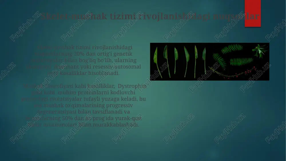 yurak-qon tomir tizimi rivojlanishidagi nuqsonlar - Page 5