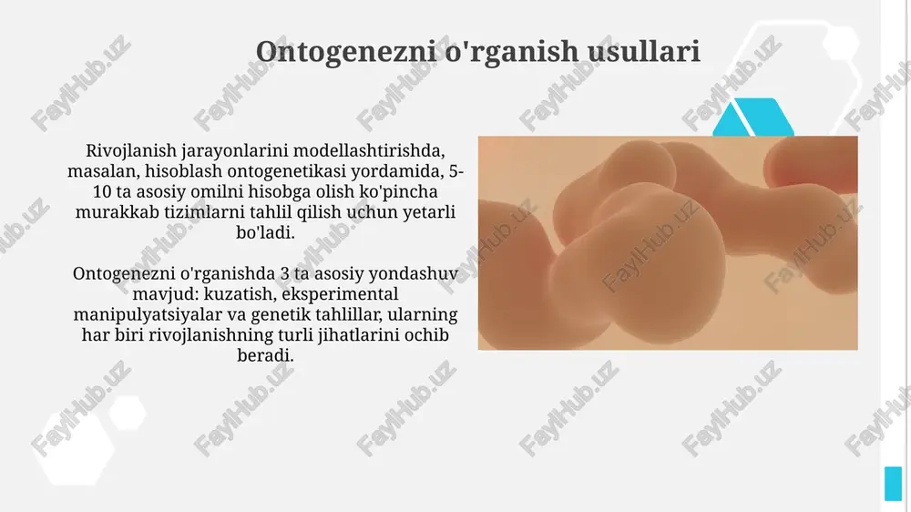 ontogenezning rivojlanish xususiyatlari - Page 5