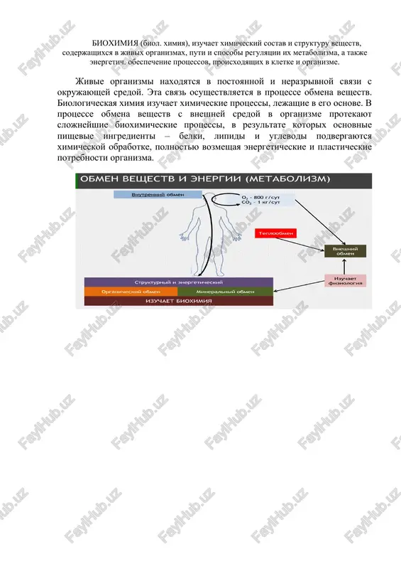eskix (razlichnie infektsionnie i somaticheskie zabolevaniya, gipertireoz, pri zlokachestvennix novoobrazovaniyax i dr.) i xarakterizuyutsya poterey massi tela. anabolizm ob'edinyaet biosinteticheskie protsessi, v kotorix prostie stroitelnie bloki soedinyayutsya v slojnie makromolekuli, neobxodimie dlya organizma. v anabolicheskix reaktsiyax ispolzuetsya energiya, osvobojdayushayasya pri katabolizme (endergonicheskie reaktsii). danniy protsess obespechivaet rost, razvitie i obnovlenie organizma. preobladanie protsessov anabolizma nablyudaetsya pri fiziologicheskix (beremennost, laktatsiya, v detskom i podrostkovom organizme), pri nekotorix patologicheskix protsessax (miksedema, opuxolevaya tkan, v period rekonvalestsentsii). eti dva vzaimosvyazannix protsessa opredelyayut gomeostaz v organizme, obnovlenie organov i tkaney. osnovnie i minornie komponenti pishi pitanie – eto osnovnoy faktor vzaimosvyazi vneshney sredi s jivim organizmom i yavlyaetsya pervim etapom obmena veshestv. vmeste s pishey v organizm postupayut organicheskie i neorganicheskie veshestva. k organicheskim komponentam pishi otnosyatsya belki, uglevodi i lipidi i sostavlyayut osnovnix komponentov.k mineralnim komponentam otnosyatsya kationi i anioni razlichnix soley i mikroelementov.razlichayut takje minornie komponenti. k nim otnosyatsya naryadu s mikroelementami …