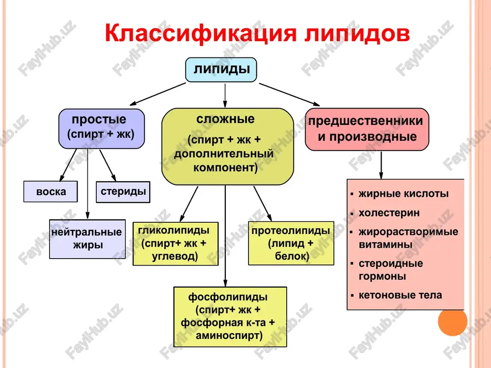 koa n o i etapi β – okisleniya oleinovoy kisloti okislenie polinenasishennix jirnix kislot etapi β – okisleniya oleinovoy kisloti etapi β – okisleniya oleinovoy kisloti biosintez nasishennix jirnix kislot otlichiya biosinteza jirnix kislot ot ix okisleniya protsess protekaet v tsitoplazme kletki idet s potrebleniem energii za schet atf trebuet nadfn n+, kotoriy obrazuetsya v pentozofosfatnom puti okisleniya glyukozi ili pri rabote malik-fermenta neobxodimo «startovoe» soedinenie malonil-koa proisxojdenie substratov dlya sinteza jirnix kislot i tag glyukoza glyukozo – 6 - fosfat fruktozo– 6 - fosfat glitserol – 3 fosfat nadp+ pfput glyukozo – 6 fosfat dg piruvat daf gaf nadpn+n+ nadp+ mitoxondrialnaya membrana pdk malat atf malik - ferment oksaloatsetat karboksilaza atsetil - koa tsitratliaza atsetil - koa oksaloatsetat tsitrat jirnaya kislota malonil - koa atsetil- koa palmitoil-sintetaza tag xolesterol α - ketoglutarat izotsitrat suktsinat fumarat malat ↓ ↓ v ↑ nadn/nad+ ↑ atf/adf suktsinil - koa izotsitratdegidrogenaza tsitozol ↓ …