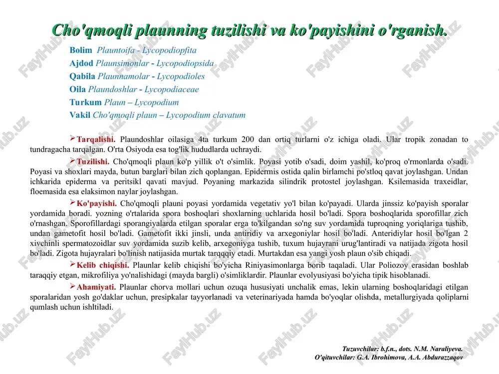 arglari kichik, bir xil kattalikka va shaklga ega, poyasi spiral holda o'rnashgan. poyasi yotib o'suvchi turlarining ustki barglari kichik, poyaning ostki qismida (yon tomonlarida)gi barglari yirikroq. ildizi dixotomik shoxlangan, bevosita poya asosidan yoki rizoforalardan taraqqiy etadi. o'tkazuvchi bog'lamlari konsentrik tipda. poyasidagi kambiy taraqqiy etmagan. selaginellalar har xil sporali o'simliklarga kiradi. spora boshoqlari shoxlaming uchida hosil bo'lib, ularda sporofillar (spora bargi) o'rnashgan. sporofil tashqi ko'rinishidan vegetativ barglarga o'xshaydi. sporangiylari buyraksimon yoki teskari tuxumsimon, qisqa bandlari yordamida sporofilda joylashgan. ko'pchilik turlarida makro – va mikrosporangiylar bitta boshoqda joylashadi. mikrosporalar pishib yetilgandan so'ng ulardan anteridiyli gametofit, makrosporadan esa arxegoniyli gametofit taraqqiy etadi. arxegoniyli gametofitning ustki qismida bir nechta arxegoniy hosil bolib, uning bo'yin qismi orqali anteridiyli gametofitning anteridiysidan hosil bo'lgan spermatozoidlar suv yordamida suzib kiradi va uning qorincha qismidagi tuxum hujayrasini urug'lantiradi. uruglangan tuxum hujayra ko'ndalangiga bo'linib, uning ostki hujayrasidan murtak taraqqiy etadi. murtakda poyacha, bargcha, bandcha va rizoforalar hosil bo'ladi. murtakdan qulay …