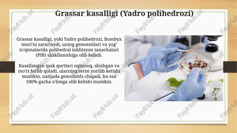 tut ipak qurti kassalliklari va ularni oldini olish choralari - Page 5
