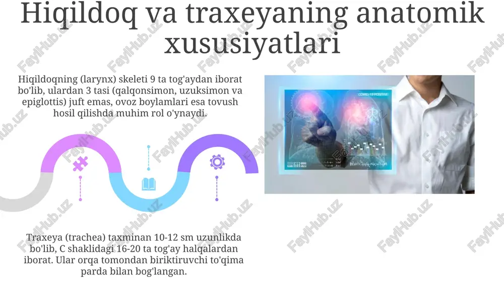 nafas olish a’zolari anatomik tuzilishi va zamonaviy tekshirish usullari - Page 5
