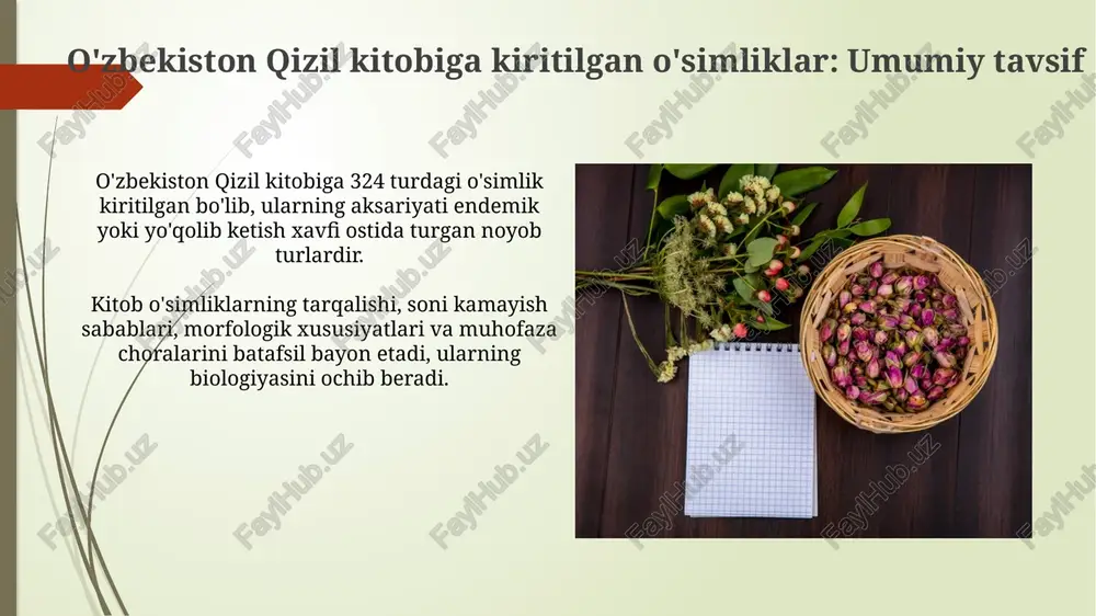 qizil kitobga kiritilgan o'simliklar - Page 5