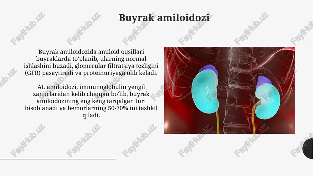 buyrak amiloidozi. nefrotik sindrom - Page 5