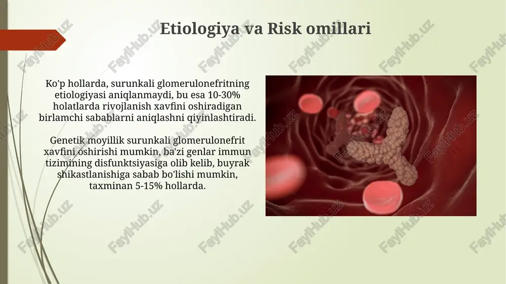 surunkaliy glomerulonefrit - Page 5