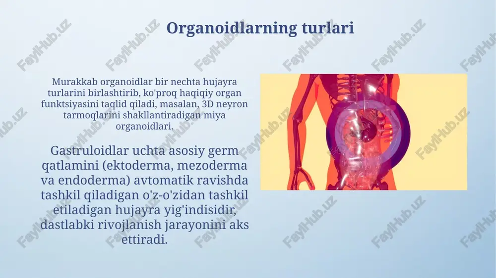 organoidlar va ularning vazifalari - Page 5