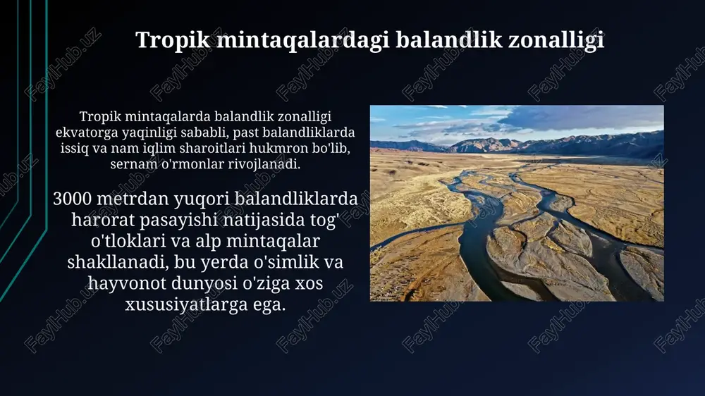 kontinentlarda balandlik mintaqalari shakllanishi - Page 5