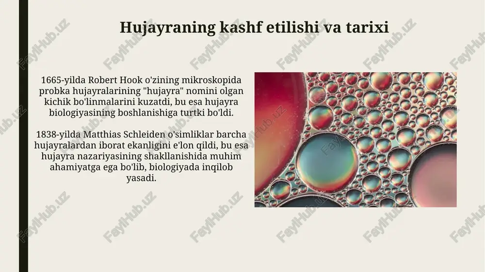 hujayra tuzilishi - Page 5