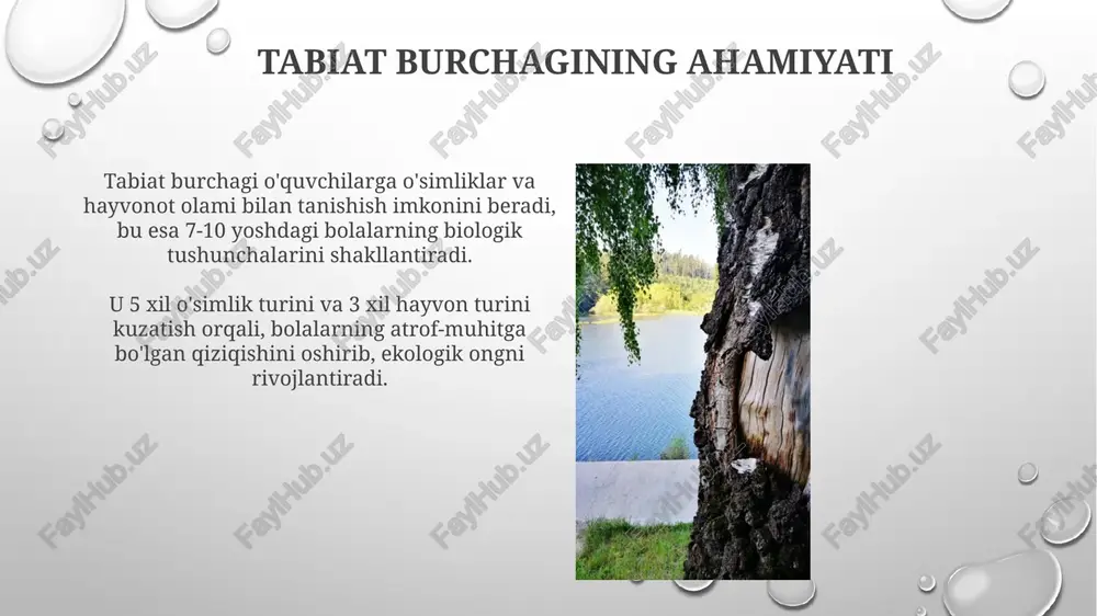 tabiat burchagini tashkil etish - Page 5