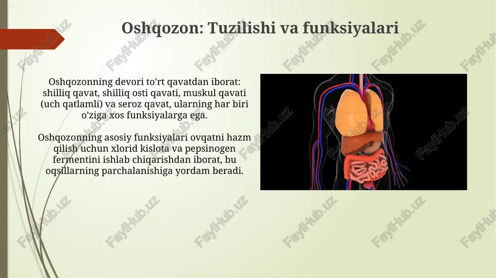 nafas olish tizimi - Page 5