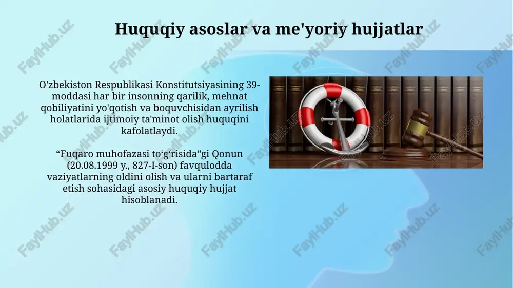 mehmatni muhofaza qilish to'g'risida qonun - Page 5