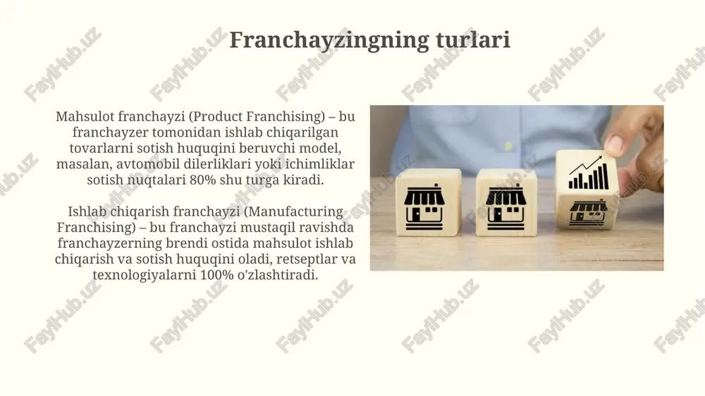 franchayzing modeli - Page 5