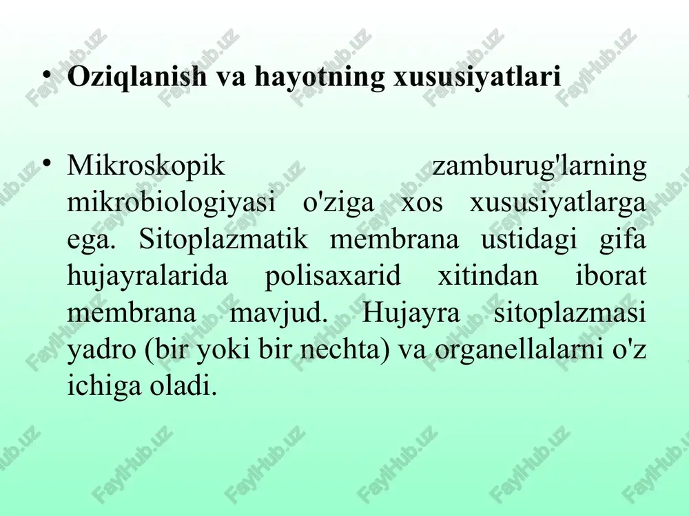 mikroskopik zamburug’lar - Page 5