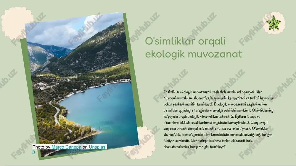 lish va ularning yaratilishida muhim ahamiyatga ega. 6. kelajakda o'simliklarning ekologiyadagi o'rni va ahamiyatini yanada oshirish uchun izlanishlar va sa'y-harakatlar zarur. e'tiboringiz uchun rahmat! designed by slides carnival image1.png image2.png image3.png image4.png image5.png image6.png image7.png image16.jpeg image8.png image9.png image10.png image11.png image12.png image17.jpeg image15.png