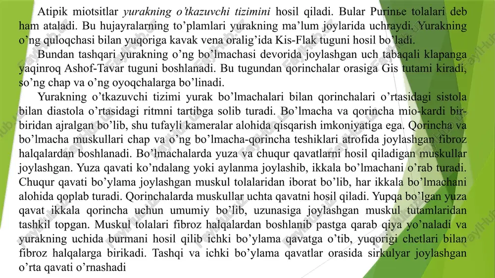 ijasida bosim orta boshlaydi. chap qorinchadan aortaga, o’ng qorinchadan o’pka arteriyalariga qonni xaydab beradi. aorta va o’pka arteriyalarining boshlangan joylarida yarimoysimon klapanlar bor. diastola vaqtida qonni orqaga qaytishiga yo’l qo’ymaydi. qorinchalar va bo’lmachalar diastolasi vaqtida, bu qismlarda bosim nolga teng bo’ladi. natijada qon venalardan bo’lmachalarga, undan so’ng qorinchalarga o’tadi. yurak muskullarining xususiyatlari. yurak muskulli a’zo bo‘lib, uning devorlari uch kavatdan tashkil topgan: endokard, miokard va epikard.miokard qo‘ndalang targ‘il muskullardan iborat bo‘lib, skelet muskullaridan fiziologik hossalari bilan fark qiladi. morfolagik va funksional hossalariga ko‘ra, yurakning muskullari ikki turga bo‘linadi: 1-bo‘lmachalar va qorinchalarning tipik tolalari, 2-ritm yetakchisi vazifasini va o‘tkazuvchi tizimni hosil qiluvchi atipik tolalar. yurakning ko‘ndalang targ‘il muskullari: ko‘zg‘aluvchanlik, o‘tkazuvchanlik, qisqaruvchanlik va avtomatiya hossalarga ega. yurak muskullarining ta’sirotlarga qo‘zg‘alish bilan javob berishi qo‘zg‘aluvchanlik deyiladi. qo‘zg‘alishi yurak muskulining qisqarishiga, ya’ni tarangligini ortishi yoki muskul tolasining kalta tortishiga sabab bo‘ladi, bu qisqaruvchanlik deb ataladi. yurak muskullari utkazuvchanlik, ya’ni harakat potensialini tola bo‘ylab tarqatish …