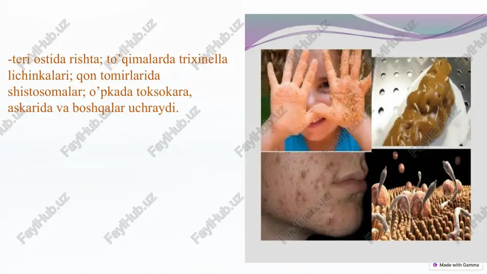 parazitlarni organizmga o’tish yo’llari - Page 5