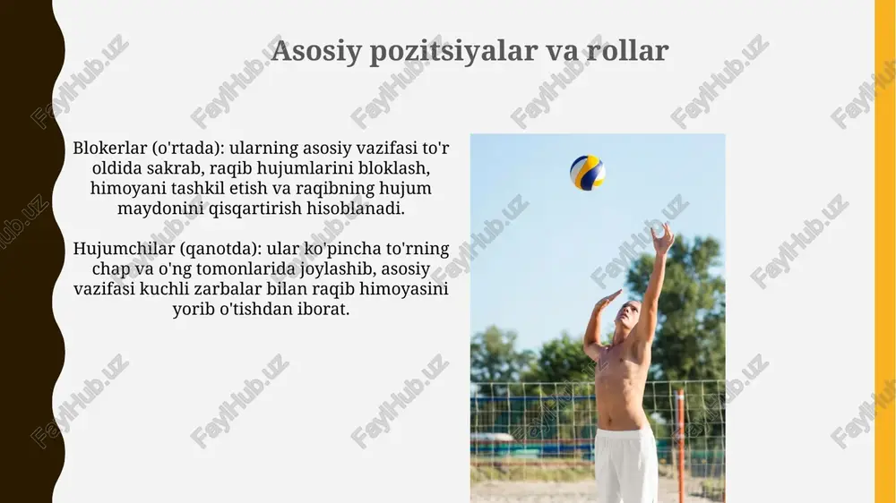 erkaklar voleyboli - Page 5