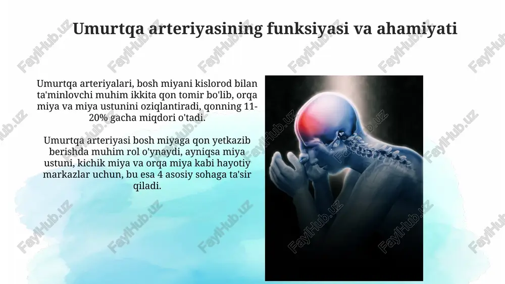 umurtqa arteriyalari shikastlanishlari - Page 5