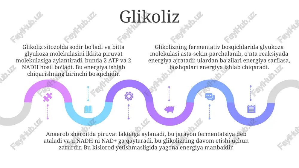 uglevodlar almashinuvi va funksiyalari - Page 5
