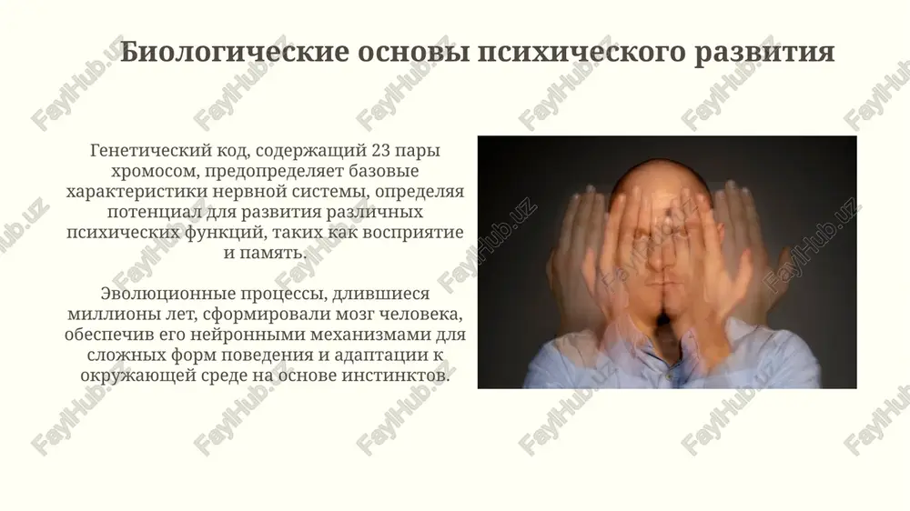 razvitie psixiki cheloveka v ontogeneze - Page 5