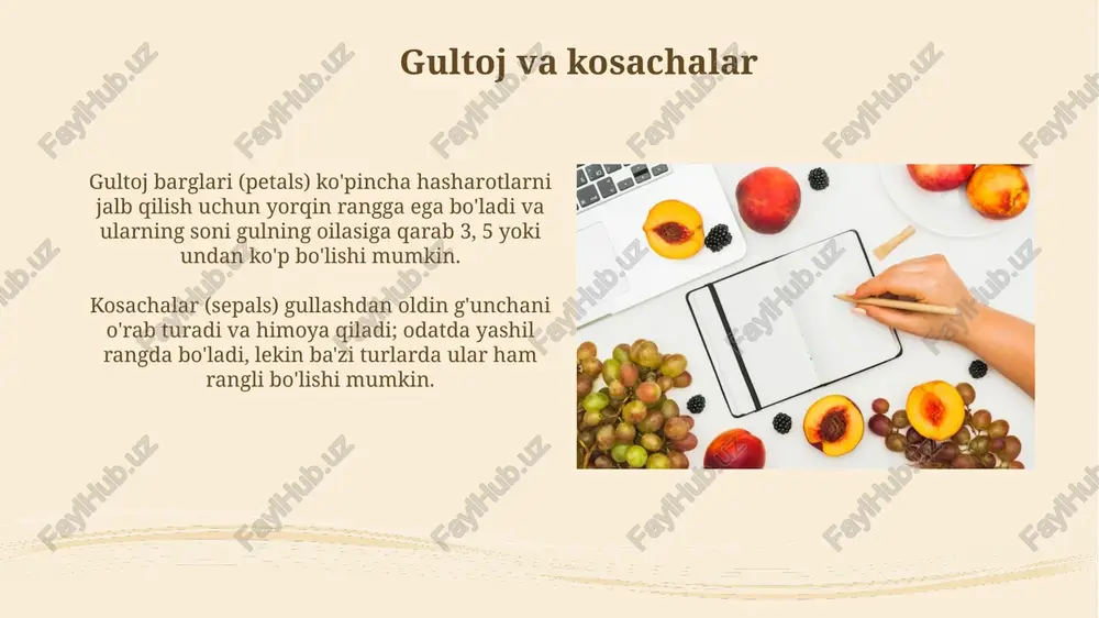 gul, meva va urug'lar - Page 5