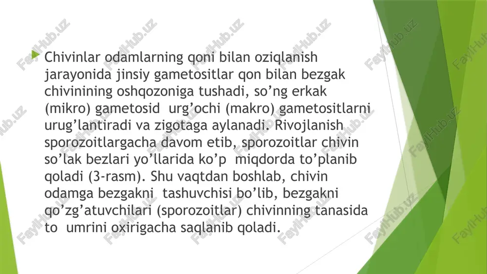 bezgak paraziti - Page 5