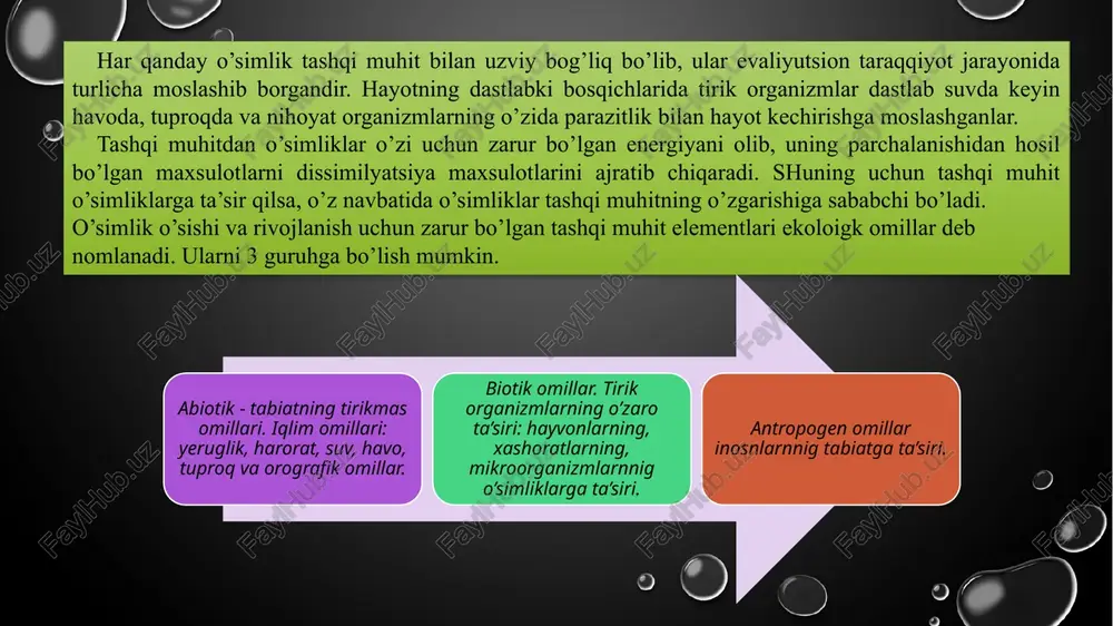 o'simliklarning biosferadagi ahamiyati - Page 5
