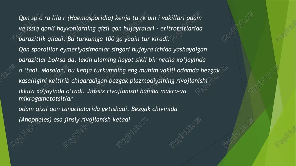 qonsporalilarken jaturkumi - Page 5