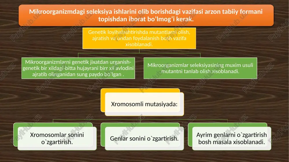 mikrobhujayralarini metabolizmini boshqarish - Page 5