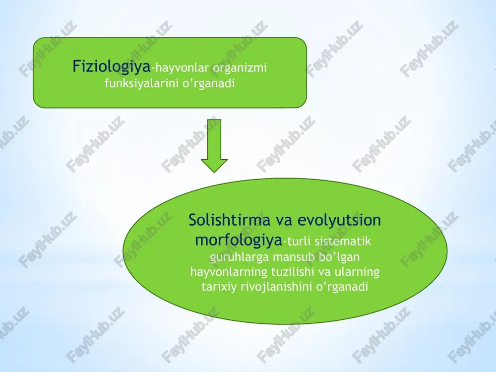 ’rta osiyoda bezgak kasalligi va rishta batamom tugatildi. zoologiyay sohasida tadqiqotlar 1920 yilda turkiston davlat universiteti (hozirgi o’zbekiston milliy universiteti) tashkil etilgandan so’ng ayniqsa keng miqyosda olib borila boshladi. a.l.brodskiy bir hujayrali hayvonlarni o’rganib, qizilqum quduqlarida uchraydigan foraminiferalar qizilqum o’rnida mavjud bo’lgan qadimgi dengiz faunasi qoldig’i nishonasi ekanligini ko’rsatdi. d.n.kashkarov ekologik tekshirishlarni boshlab berdi va bu sohada birinchi darslik yaratdi. t.z.zohidov qizilqum hayvonlarini o’rgandi va 4 tomlik “zoologiya ensiklopediyasi”ni yozdi. v.v.yaxontov hasharotlarni o’rganib, bu sohada bir necha yirik qo’llanmalar yaratdi. a.m.muxammadiev suv hayvonlarini o’rgandi va umurtqasizlar zoologiyasidan o’zbek tilidagi dastlabki o’quv qo’llanmasini yaratdi s.n.alimuxamedov va r.o.olimjonov zararkunanda hasharotlarni o’rganish va ularga qarshi kurash choralarini ishlab chiqish borasida bir qancha muhim tadqiqotlarni amalga oshirishdi. qishloq xo’jaligi ekinlari parazit nematodalarini o’rganishda va ularga qarshi kurash tadbirlarini ishlab chiqishda a.t.to’laganov va uning shogirdlarining xizmatlari katta bo’ldi. xonaki va yovvoyi hayvonlar gelmintlarini o’rganish borasida tadqiqotlar j.a.azimov, m.a.sultanov, i.x.ergashev nomi bilan bog’liq. o’zbekistonda ekologik parazitologiya …