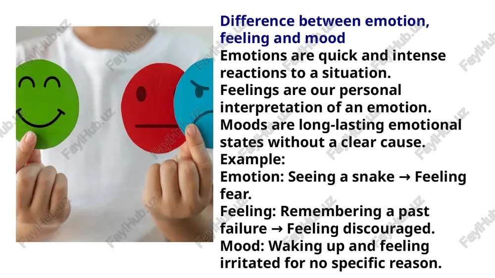 psychology of emotions presentation - Page 5
