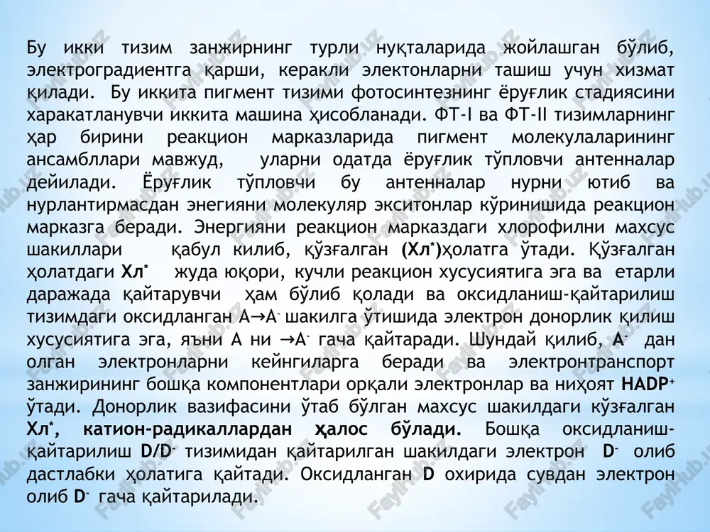 r bo'lishi mumkin. ii-fs ni og'ir fraktsiyasini qizil nur spektorida komponentlarga parchalanishi antennalar haqida ko'p ma'lumotlar bermaydi, bu fraktsiya tarkibida fs-1 ham bo'ladi. biroq 700 nm to'lqin uzunligida nur yo'li uchiramasligidan ko'rinib turibdiki, r700 faqat 1-fs ga qarashliligidan dalolat beradi. boshqa tajribalardan olingan deyarli barcha ma'lumotlar shu narsani ko'rsatdiki, yuqori o'simliklar va yashil suv o'tlarini trakibidagi xlorofilli b, va ksantofillar ii-fs ni tarkibiga emas, balki, boshqa nur to'plovchi pigment- oqsil komplekslari, ya'ni xlrofill-oqsil komplekslar (linght harvesting chlorophyll protein) tarkibiga kirar ekan. bu kompleks tarkibidagi xlorofill “a” ma'lum miqdorda yutgan kvant energiyasini 1-fs va ii-fs ga berish qobilyatiga ega bo'lishi kerak. bu o'z navbatida yuqorida aytib o'tilganidek, u (xlrofill-oqsil komplekslari) energiyani oqib (perelivanie) o'tishiga ma'sul bo'lishi mumkin. bu xolatda fs- ii da antenna rolini o'ynovchi, energiya yutgan a662 , a670 va a677 xlorofillardan tashkil topgan bo'lsa, u holda bu energiyani reaktsion markazdagi xlorofill a680 ga ko'chirish kerak. pigment oqsil kompleks (pok) …