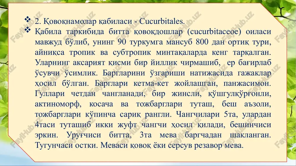 adir. oila vakillari: sada qayrag'och (ulmus densa), g'ujum qayrog'och (u. androsovii), qatrangi (seltis caucasica) va boshqalar. 2.tutdoshlar oilasi - moraseae bu oila 55 turkum va 1000dan ortiq turni o'z ichiga oladi. ular daraxt, buta ba'zan o't o'simliklardir. oila vakillari xar ikkala yarim sharning tropik, subtropik, ayrimlari mo''tadil iqlim xududlarida tarqalgan. daraxt va butalari sut shirasiga boy. barglari oddiy, ketma-ket joylashgan. gullari ko'rimsiz, bir jinsli, bir yoki ikki uyli. gul formulsi: *♂ p4 a4 g0; *♀p4 a0 g(2) mevasi to'p danakcha yoki yong'oqchadir. oila vakillari: oq tut (morus alba), shotut (m.nigra), maklura (masliura aurantica), qogoz daraxti (brous-soneta pappyrifera), anjir (ficus carica) va boshqalar. ahamiyati: oilaning tut turkumiga mansub o'simliklari mevasining tarkibida 80% gacha qand moddasi va vitaminlar bor. ular oziq-ovqat sifatida ishlatiladi. barglari ipak qurti uchun oziqa hisoblanadi. anjir o'simligining hozirgi vaqtda 800 yaqin turi ma'lum. 3.gazandadoshlar oilasi - urtisaseae bu oila tarkibida 40 ta turkum va 500 tur bo'lib, ular …