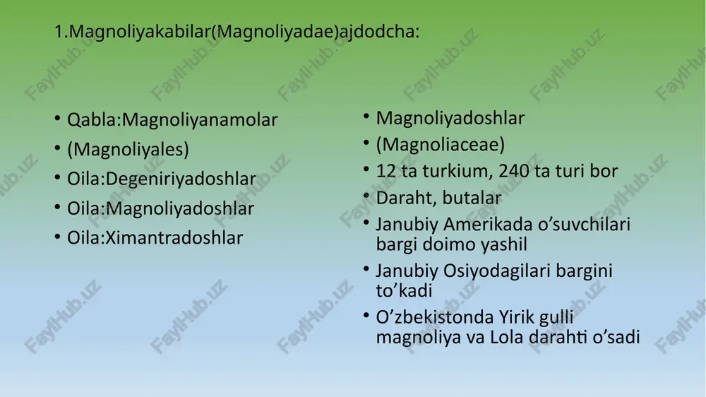magnoliyatoifa(magnoliophyta) - Page 5