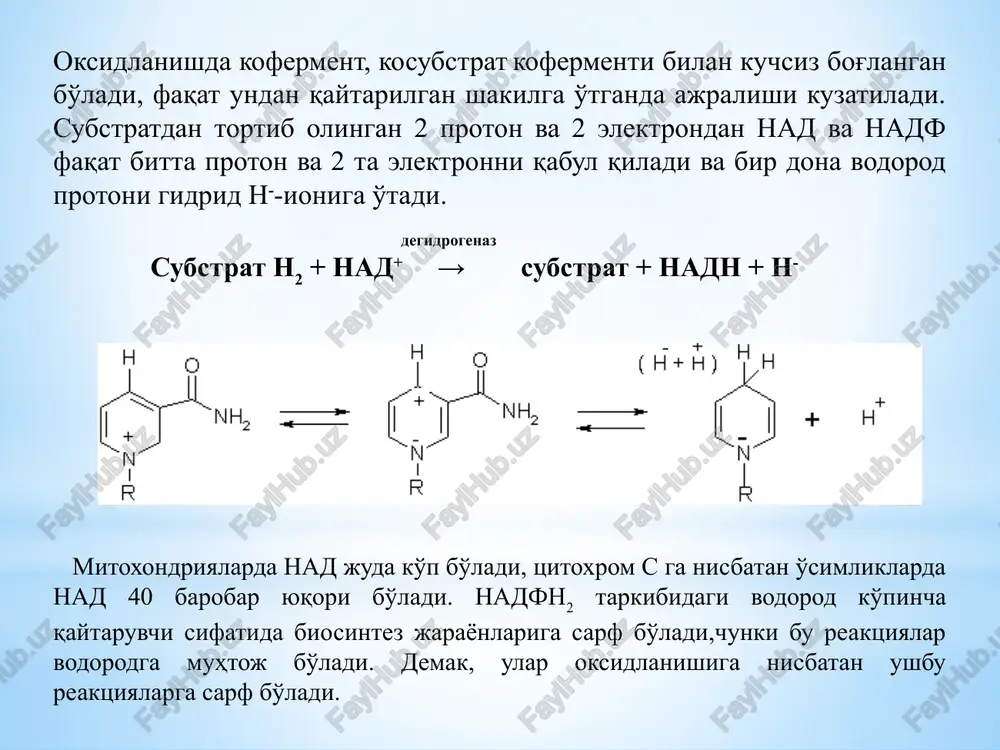 oxromlar temir porfirinli prostetik gruppa tutadi. temir atomi o'zining valentliligini o'zgartirib ( fe+3 + e-) ← fe+2) nafas olish zanjirida elektron tashishda ishtirok etadi tsits fe+2 + tsita fe+3 → tsits fe+3 + tsita fe+2 (tsits fe+2 - qaytarilgan tsitoxrom-s) (tsita fe+3 - oksidlangan tsitoxrom a ) mitoxondriylarni zanjirida quyidagi tsitoxromlarning kekma-ketligi bor: → tsits → tsita (hayvon achitqi) → tsits549 → tsits → tsita (o'simlik) tsits da gem gruppasi apoferment bilan kovalent bog'lanib mol.og'ir 13000 kd va bitta porfirin qoldig'iga ega. tsita molekulyar og'irligi 500 000 kd teng. porfirin gruppasi to'yinmagan uzun yon zanjirga ega. tsita3 esa, 6 ta subbirliklardan iborat bo'lib, terminal oksidaza sifatida ish bajaradi, ya'ni elektronlarni tsita dan kislorodga uzatadi. tsita3 nafas olish zanjiridagi oxirgi zvenodir, uni ko'pincha tsitoxromoksidaza ham deb ataladi. 1atf 2atf 3atf nadn2 → fadn2 → koqn2 →b→ c→ c → a →a3 → 1/2o2 polifenoloksidaz, masalan o-difenloksidaza qator fenolli birikmalardan (gidroxinon, xinin, …