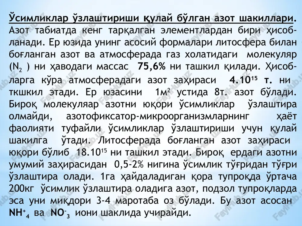 ldizining yuza qismiga joylashgan bo'ladi. bunday joylanishini sababi ildizlar rizosferaga ajratib chiqarayotgan maxsulotlarini bakteriyalar uglerod manbai sifatida foydalanishi bilan tushintiriladi. simbioz azotofiksatorlar gruxiga – eng avvalo dukkakli o'simliklar ildizida dukkak hosil qiluvchi bakteriyalar turkumi rhizobium kiradi. hozirgi vaqtda o'simliklarni turli oilasiga mansub bo'lgan 190ga yaqin turkumlari bilan simbioz holatda yashab azotni o'zlashtirish qobilyatiga ega. ular qatoriga ayrim daraxt va butalar, moxlar ham kiradi. qishloq ho'jaligidagi dukkakli o'simliklar bilan simbioz holatda yashab, yiliga o'rtacha, 100 dan 400 kg/ga azot fiksatsiya qiluvchi bakteriyalarni rhizobium turkumi katta ahamiyatga ega. madaniy dukkakli o'simliklar orasida beda bir yilda 500 dan 600, yo'ng'ichqa – 250-300, lyupin – 150, no'xot, loviya 50-60 kg/ga azot to'plashi mumkin. azot fiksatsiyasini molekulyar mexanizmi. azot molekulsi o'ta mustahkam va inert bo'ladi. uni n=n uch kovalent bog'i 940 kdj/mol energiyaga ega. ximiyaviy jarayonlarda ammiak siteziga va bu bog'larni uzish va azotni qaytarishga katalizatorlar ko'llanishiga qaramasdan yuqorda aytib ztilganidek yana yuqori harorat va …